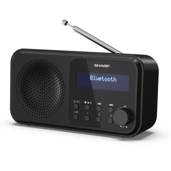 Audio Portatile